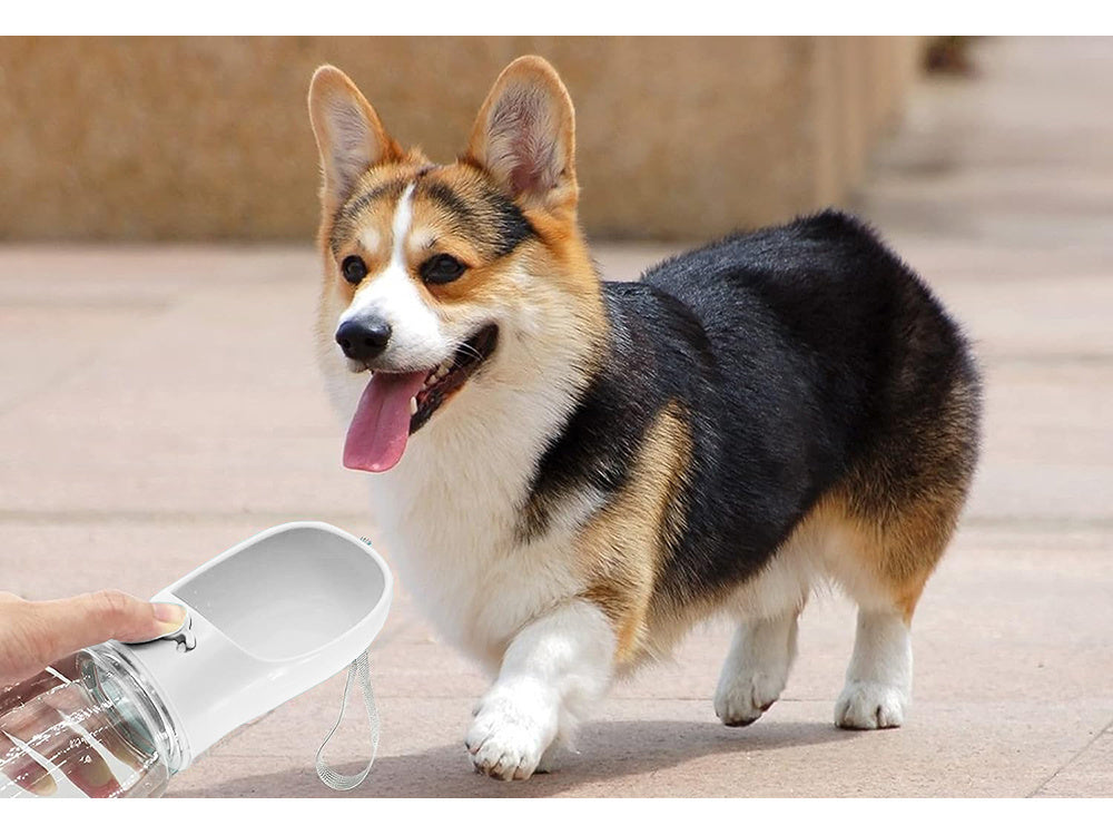 Pārnēsājama suņu pastaigu inde ūdens bļodā 380ml