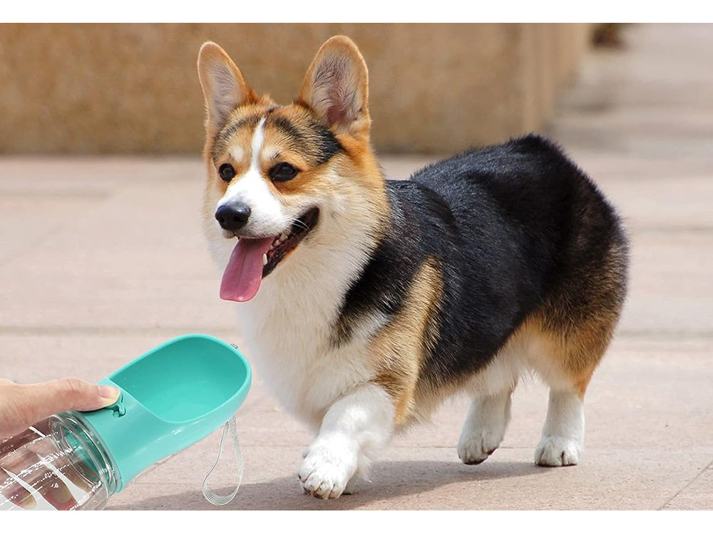 Pārnēsājama suņu pastaigu inde ūdens bļodā 380ml