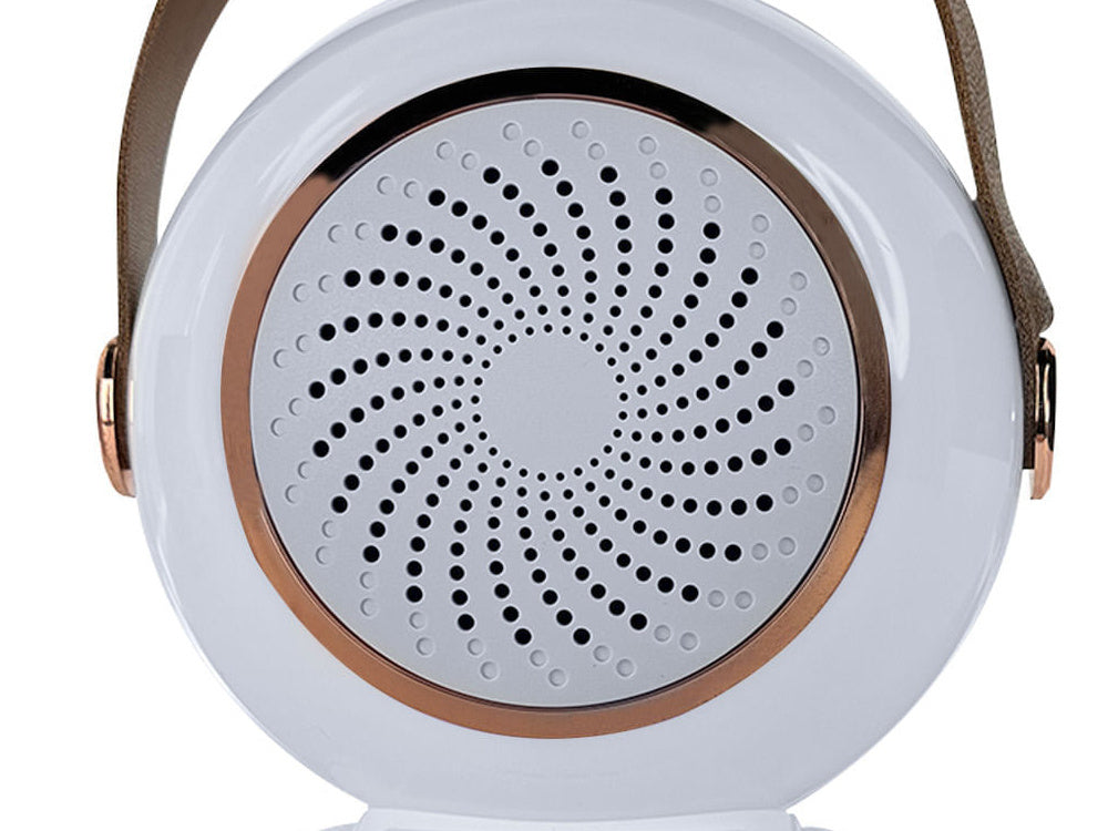 Bezvadu karaoke personālais komplekts Bluetooth skaļrunim + 2 mikrofoniem