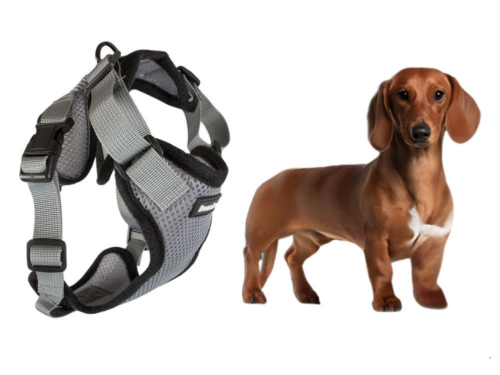 Zeķes bez spiediena pastaigu siksna maziem suņiem, rokturis viegls, mīksts, stiprs, m