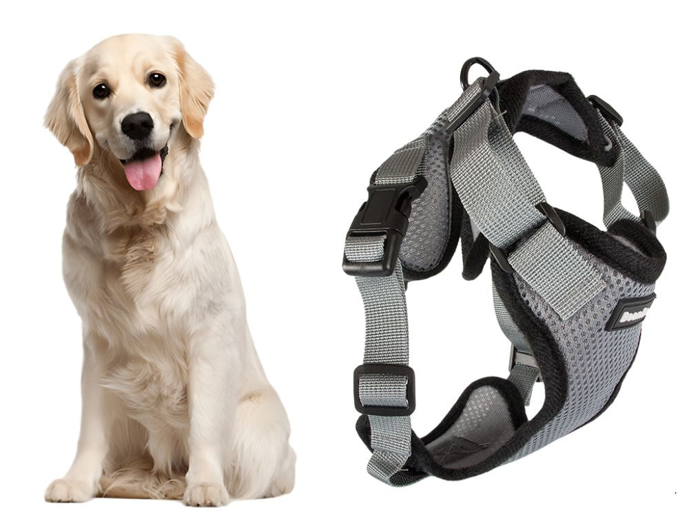 Suņu pastaigu iemaukti bez spiediena, viegls, mīksts, stiprs rokturis, XL izmēra