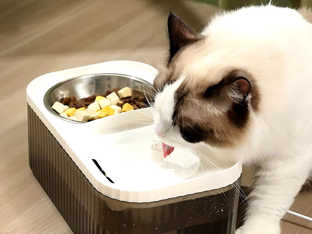 Automātiska kaķu dzirdinātava suņu ūdens strūklaka ar filtru un barības bļodu