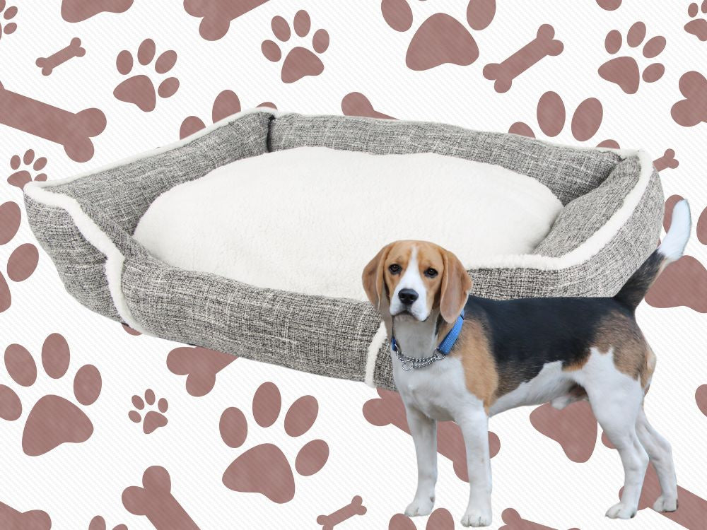 Suņu gulta, mīksta, ērta un pūkaina gulta ar spilvenu, izmērs M