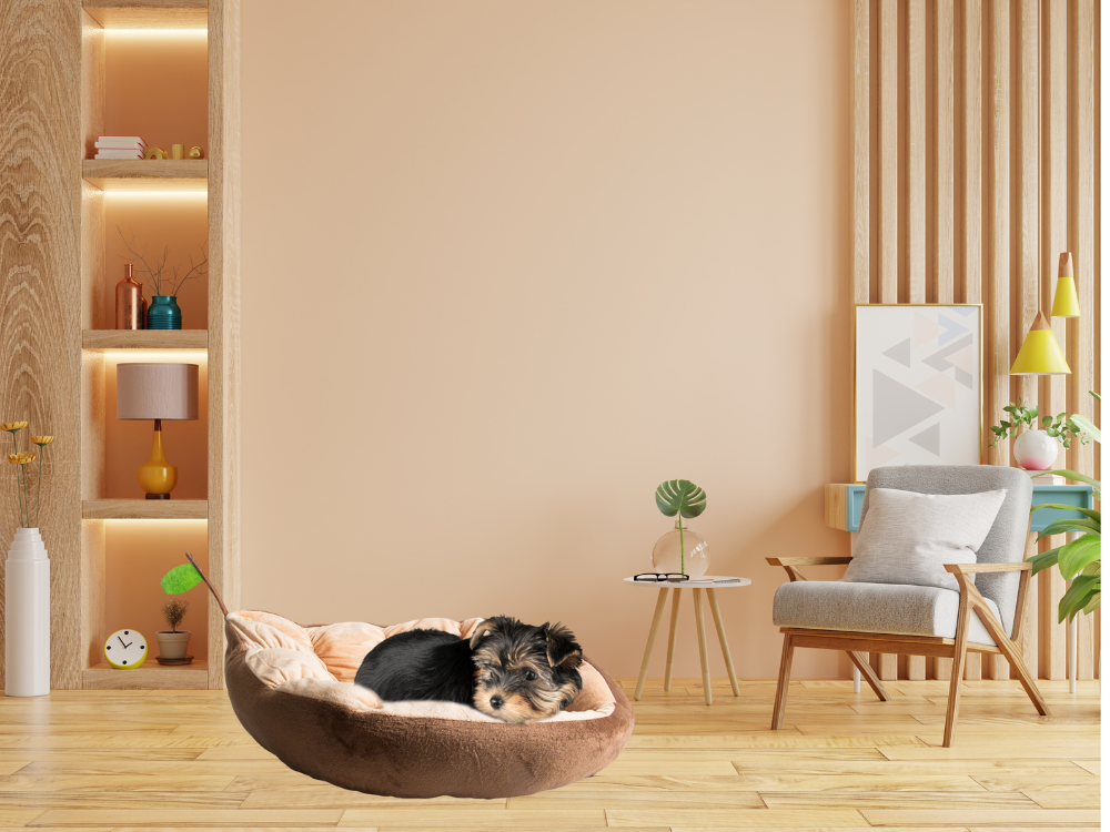 Plīša gultas spilvens suņu rotaļu laukums kaķim mīksta dīvāna gultasveļa