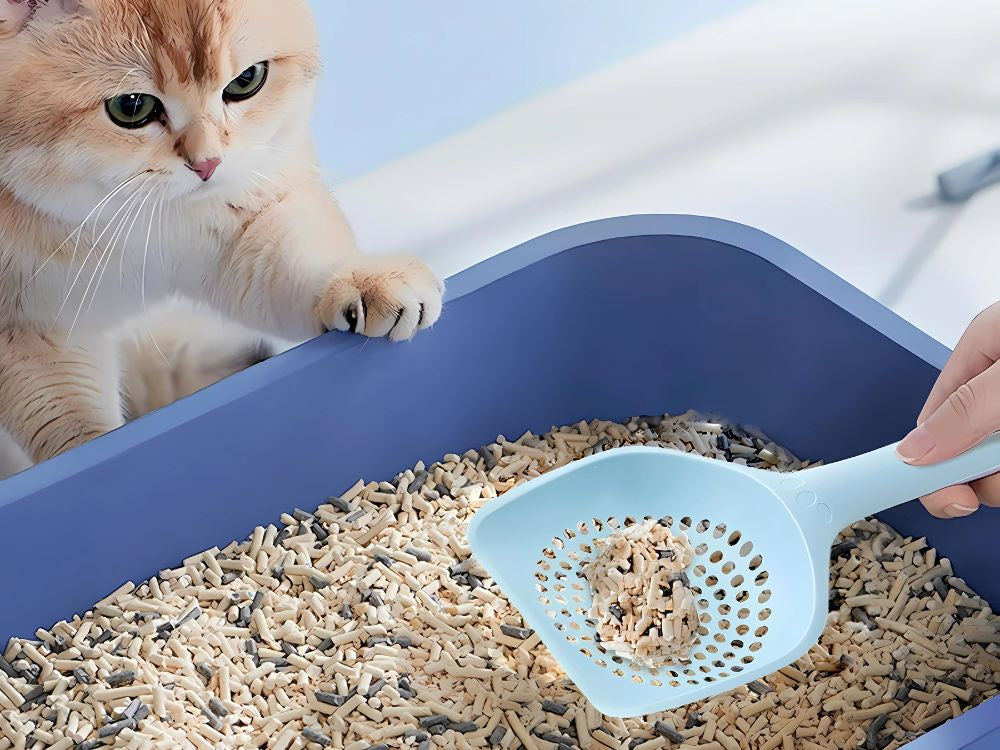 Kaķu pakaišu kausiņa liela, izturīga plastmasas pakaišu kausiņa