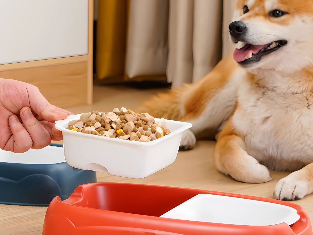 Dubultā bļoda suņiem, kaķiem, noņemamas, lielas plastmasas ūdens un barības bļodas