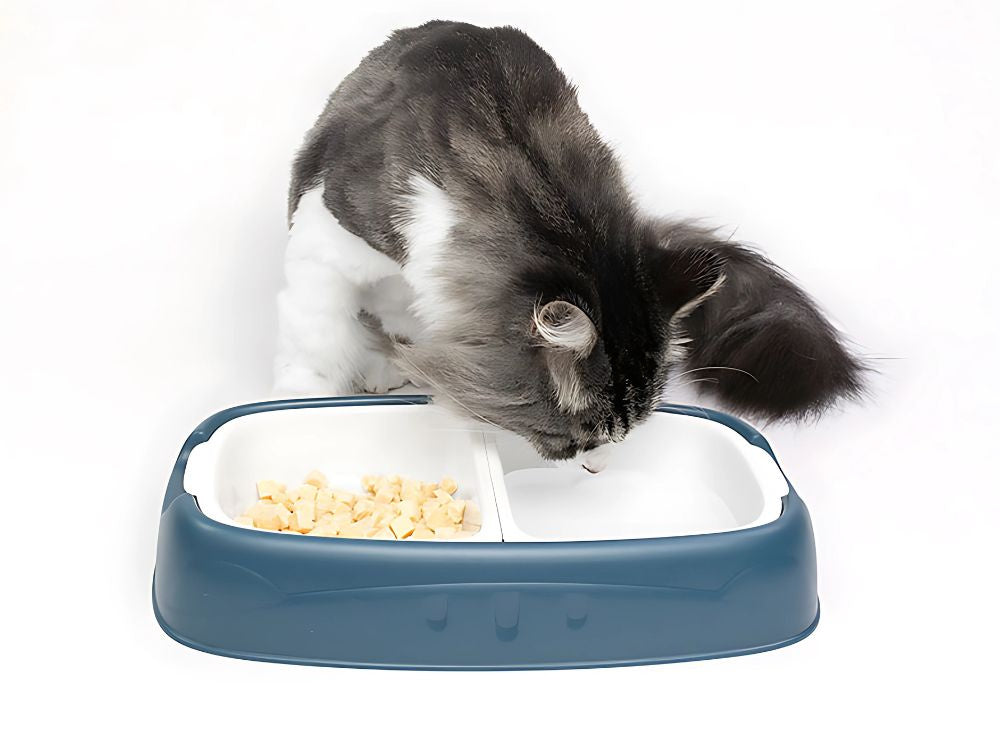 Dubultā bļoda suņiem, kaķiem, noņemamas, lielas plastmasas ūdens un barības bļodas