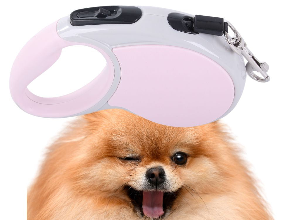 Automātiska pavada 5 m gara sunim līdz 15 kg ar spēcīgu un garu slēdzeni