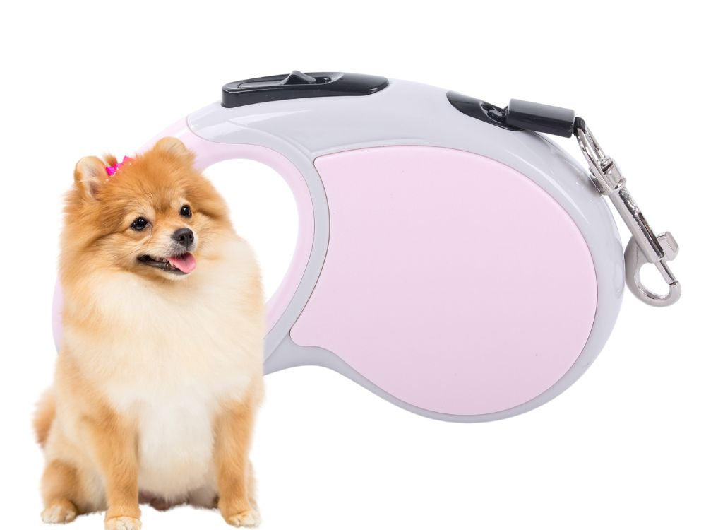 Automātiska pavada 5 m gara sunim līdz 15 kg ar spēcīgu un garu slēdzeni