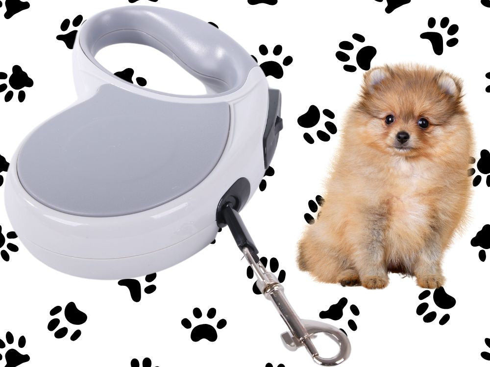 Automātiska pavada 5 m gara sunim līdz 15 kg ar spēcīgu un garu slēdzeni