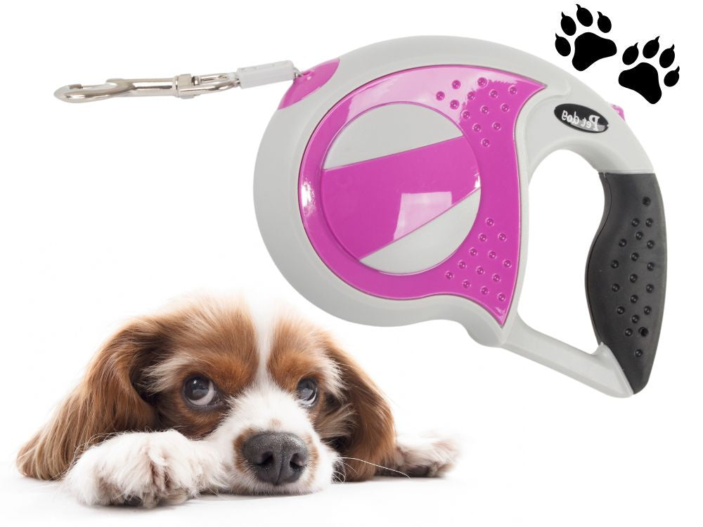 Automātiska pavada 5 m gara sunim līdz 20 kg ar spēcīgu un garu slēdzeni