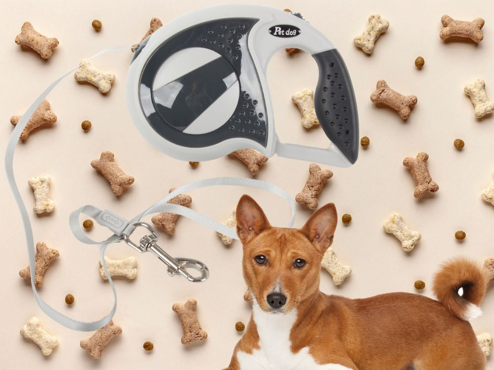 Automātiska pavada 5 m gara sunim līdz 20 kg ar spēcīgu un garu slēdzeni