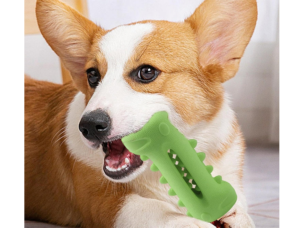 Suņu košļājamā zobu tīrīšanas rotaļlieta kārumiem