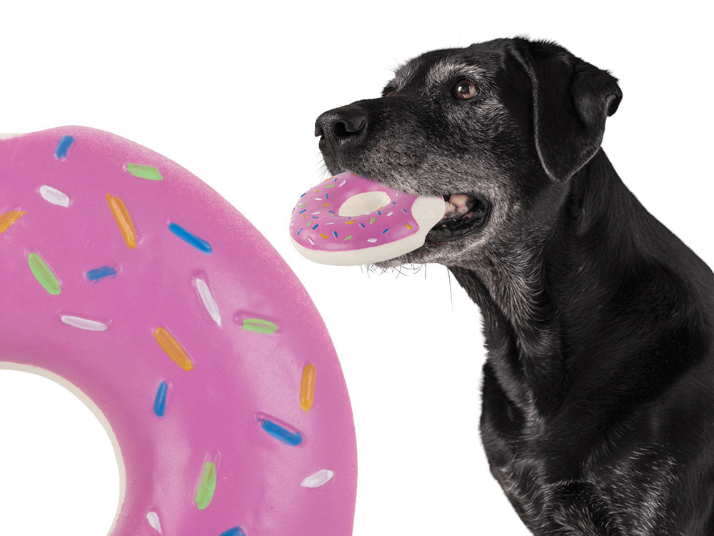 Rotaļlieta sunim, kaķim, gumijas pīkstulis, košļājama gumijas pumpura pīkstulis