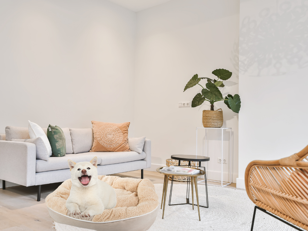 Plīša suņu rotaļu gulta, mīksta spilvena dīvāna gultasveļa, pūkaina