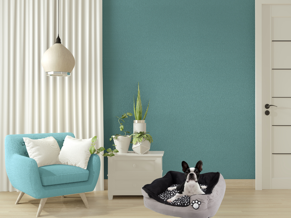 Plīša suņu gulta ar izvelkamu spilvenu, mīkstu un ērtu