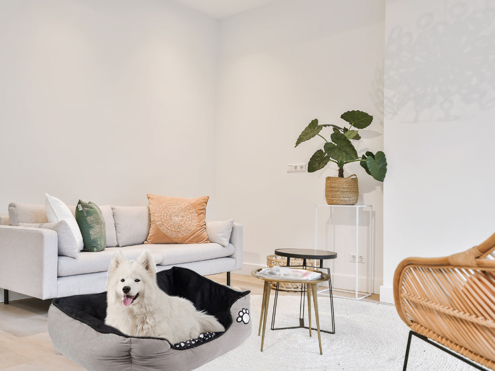 Plīša suņu gulta ar izvelkamu spilvenu, mīkstu un ērtu