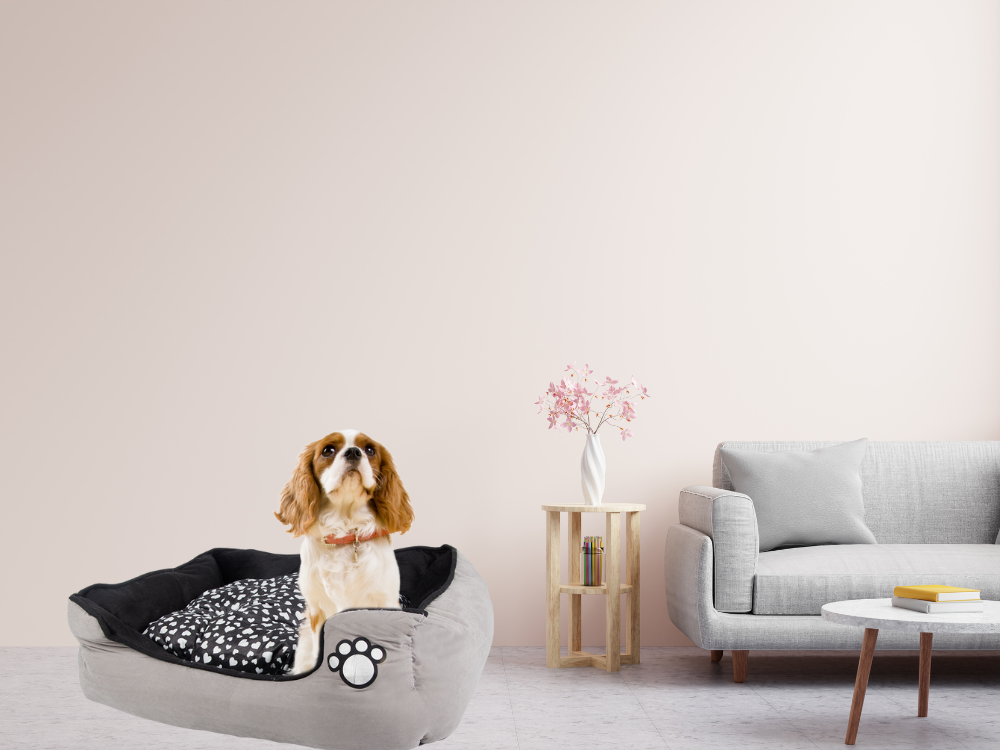 Plīša suņu gulta ar izvelkamu spilvenu, mīkstu un ērtu