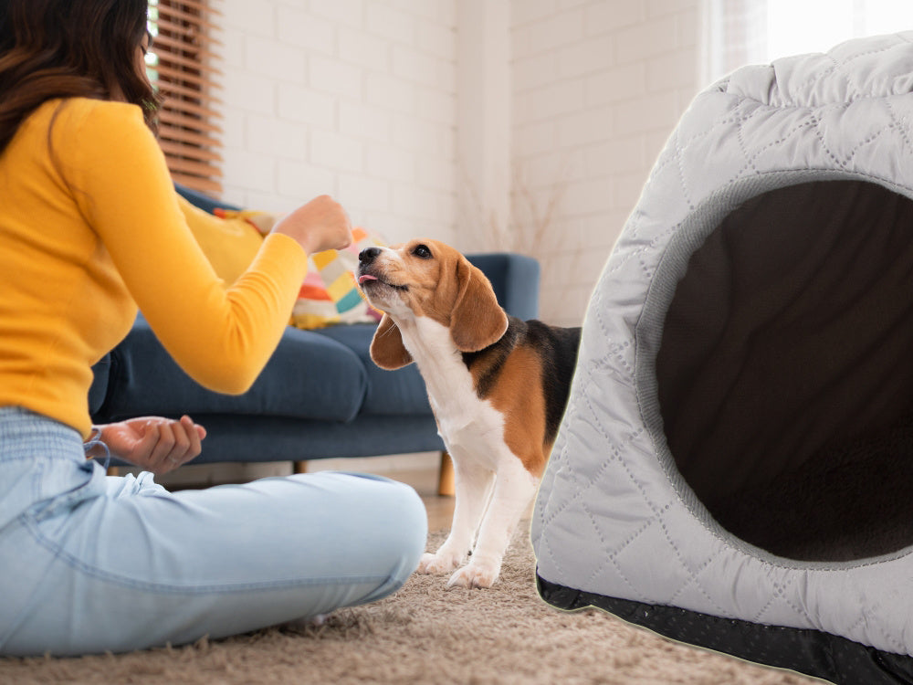 Suņu audzētavas gulta, mīksta suņu audzētavas telts, gultasveļa, dīvāns, rotaļu laukums