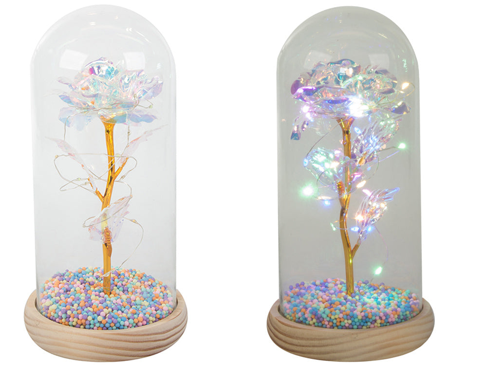 Mūžīgā roze stikla LED gaismas stikla kastītē sieviešu dienā