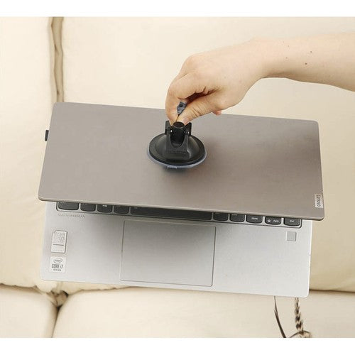 Kaķu rotaļlieta ar piesūcekni