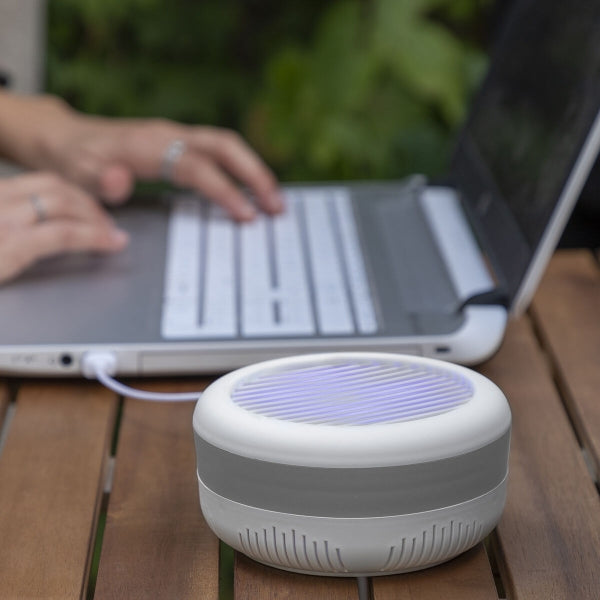 Moskītu iesūkšanas lampa