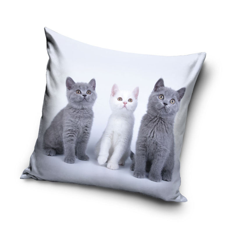Kaķu trio dekoratīvais spilvendrāna 40x40 cm samts