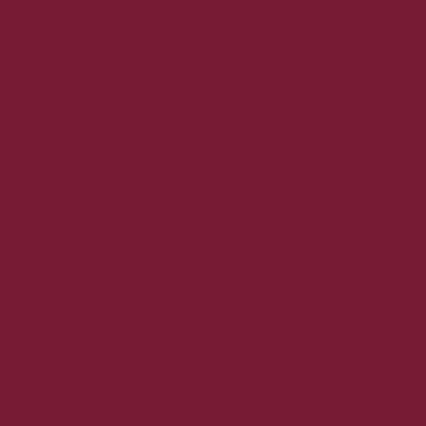 Colour Maki Bordeaux salvetes 20 gab. 25x25 cm