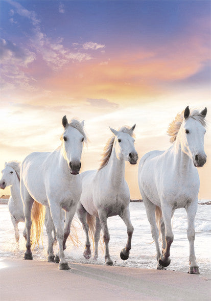 Mape "Horses Gallop" A/4 elastīga
