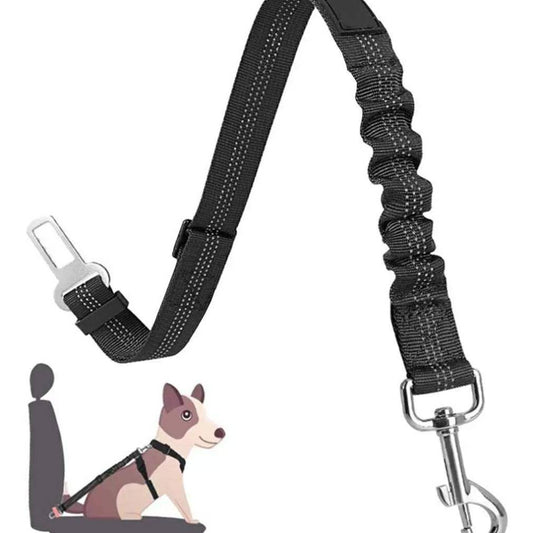 Mājdzīvnieku pavada automašīnai