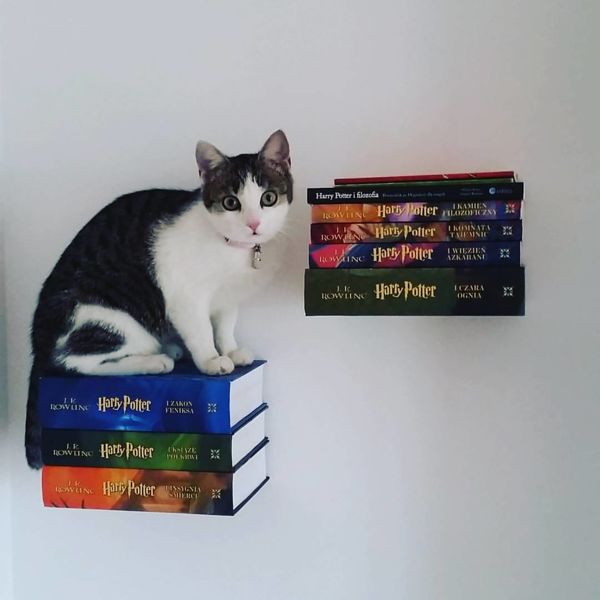 Neredzams grāmatu plaukts