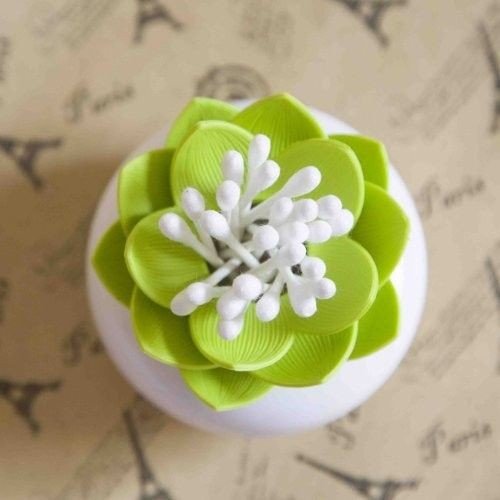 Lotus pumpuru un zobu bakstāmo turētājs - ZAĻS