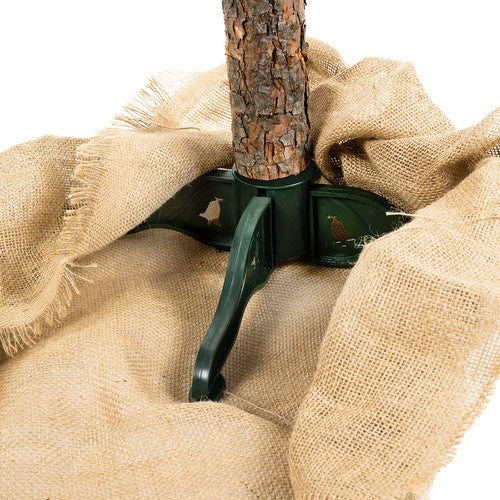 Ziemassvētku eglīte uz stumbra - Dimanta priede 180 cm