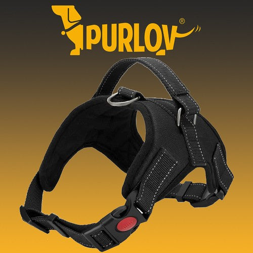 Spiediena nesaturošas suņu siksnas