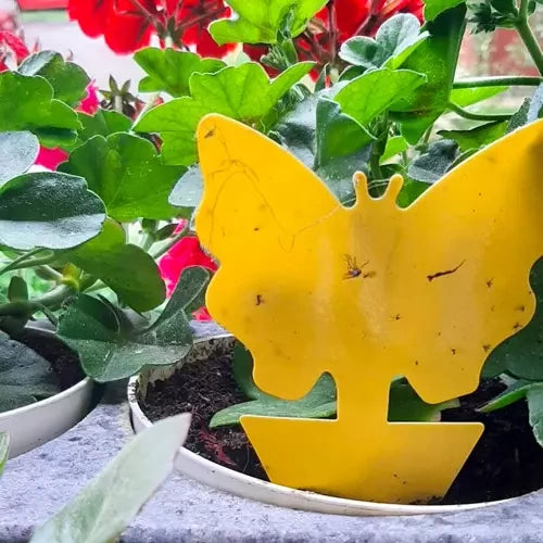 Kukaiņu līme - 12 gab. Repest