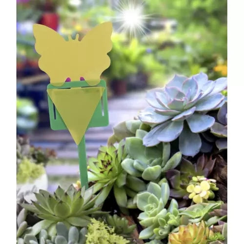 Kukaiņu līme - 12 gab. Repest