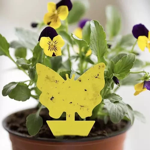 Kukaiņu līme - 12 gab. Repest