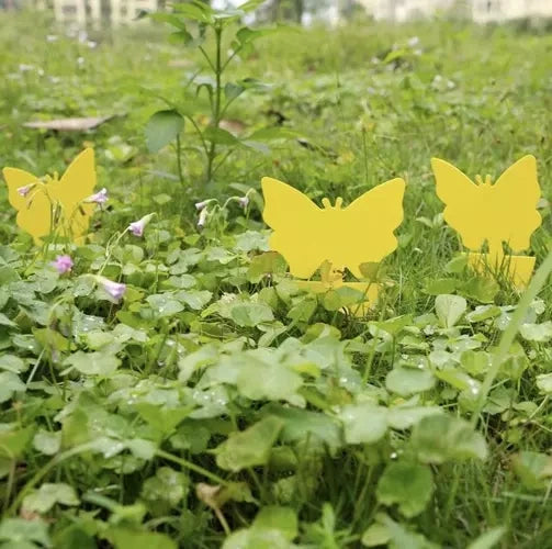 Kukaiņu līme - 12 gab. Repest