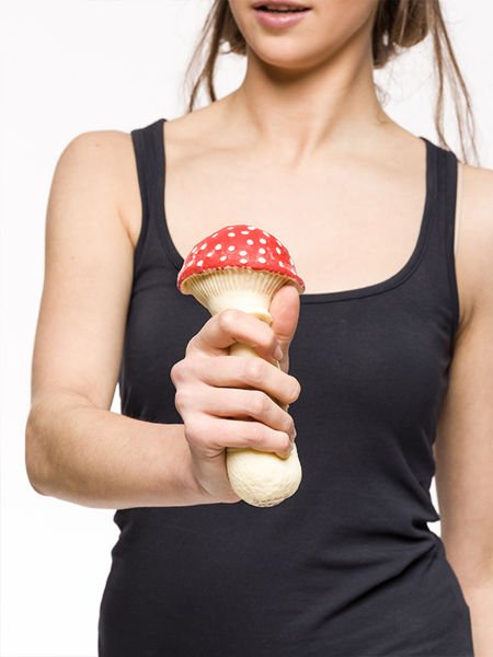 Antistresa sēne - MUŠU AGARIC