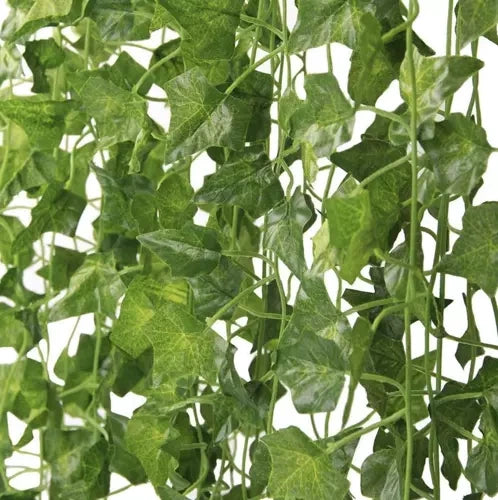 Mākslīgā efeja - Garland 6,3m Gardlov