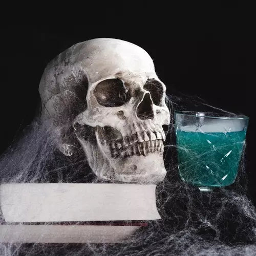 Mākslīgais zirnekļa tīkls + 2 Malatek zirnekļi