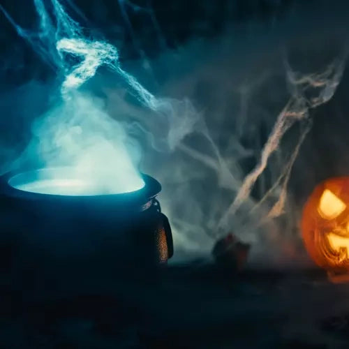 Mākslīgais zirnekļa tīkls + 2 Malatek zirnekļi