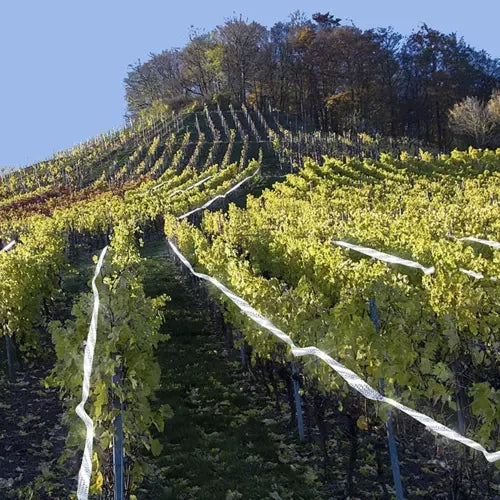 Putnu atbaidītājs - 45 m lentes Repest