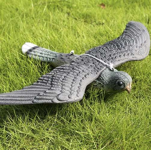 Repest putnu atbaidītājs