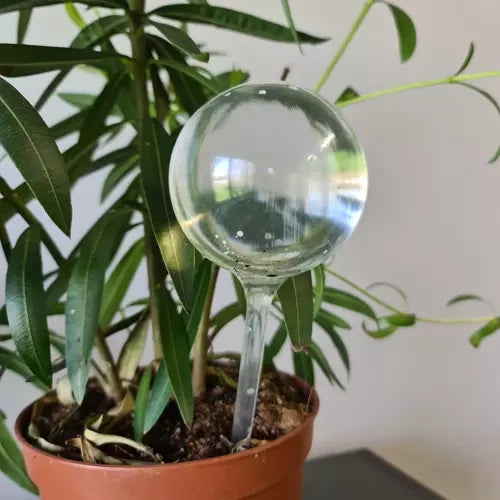 Apūdeņošanas bumbiņas - 8 gab. Gardlov