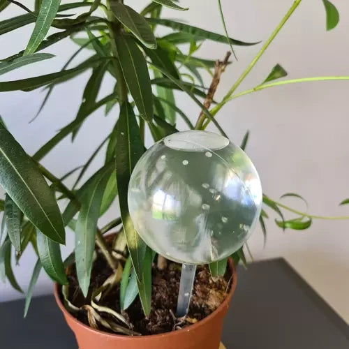 Apūdeņošanas bumbiņas - 8 gab. Gardlov