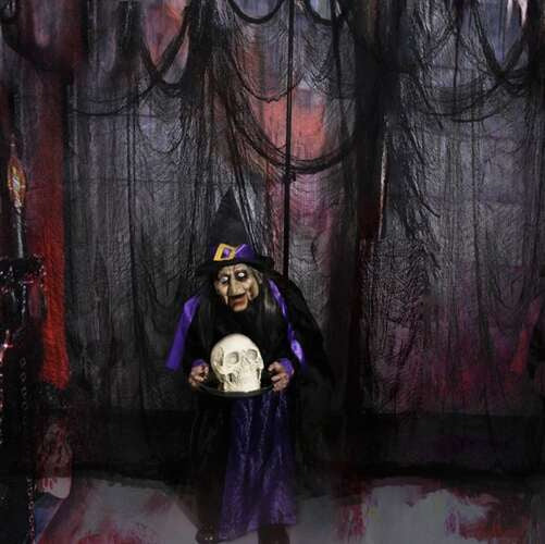 Zirnekļa tīkls - Dekorācija 198x76cm Malatec