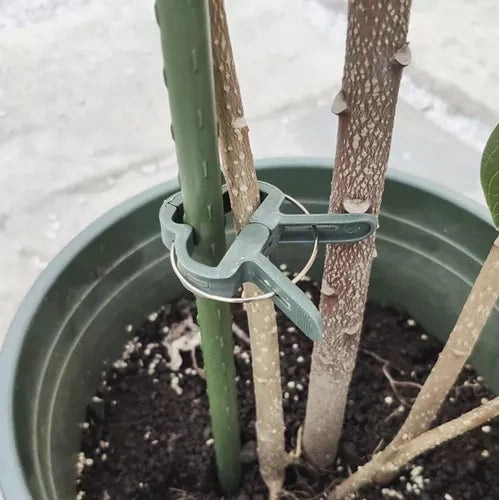 Augu saspraudes - 108 gab. Gardlov