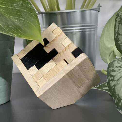 Koka puzle - prāta vingrinājumi