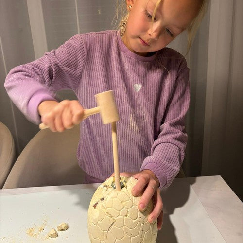 Dinozaura ola - izrakumu vieta